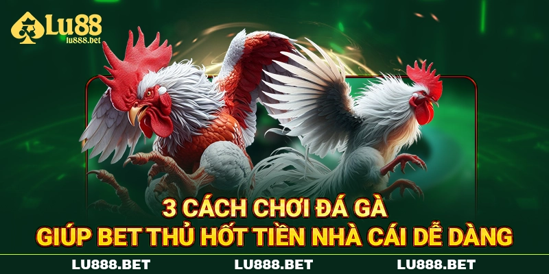 3 cách chơi đá gà giúp bet thủ hốt tiền nhà cái dễ dàng