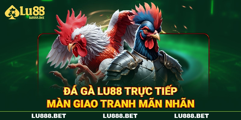 Đá gà LU88 trực tiếp màn giao tranh mãn nhãn