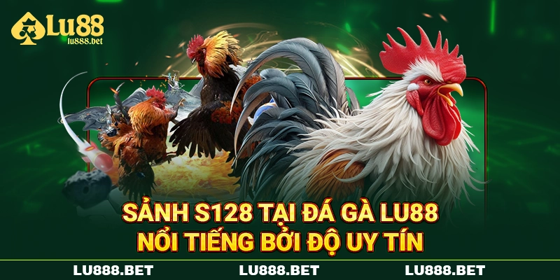 Sảnh S128 tại đá gà LU88 nổi tiếng bởi độ uy tín